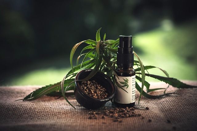 Jak terpeny w kosmetykach mogą poprawić Twoją skórę?