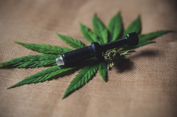Jak naturalne składniki mogą poprawić Twoją skórę?