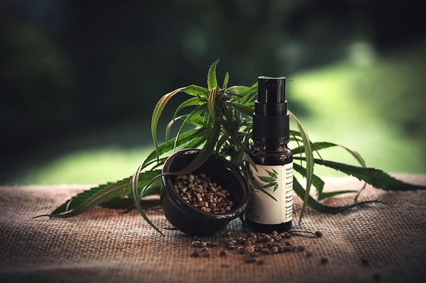 Jak terpeny w kosmetykach mogą poprawić Twoją skórę?